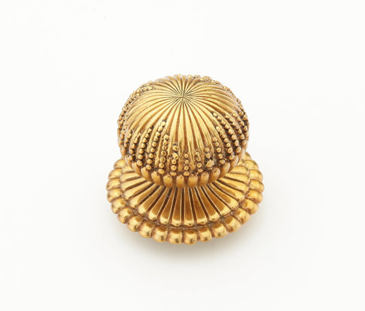 Schaub Brass Knob & Backplate in Paris Brass 1-1/4" dia