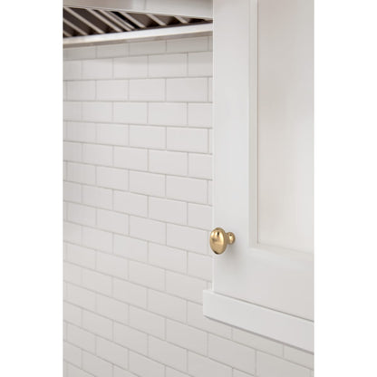 Amerock Vaile Cabinet Knob