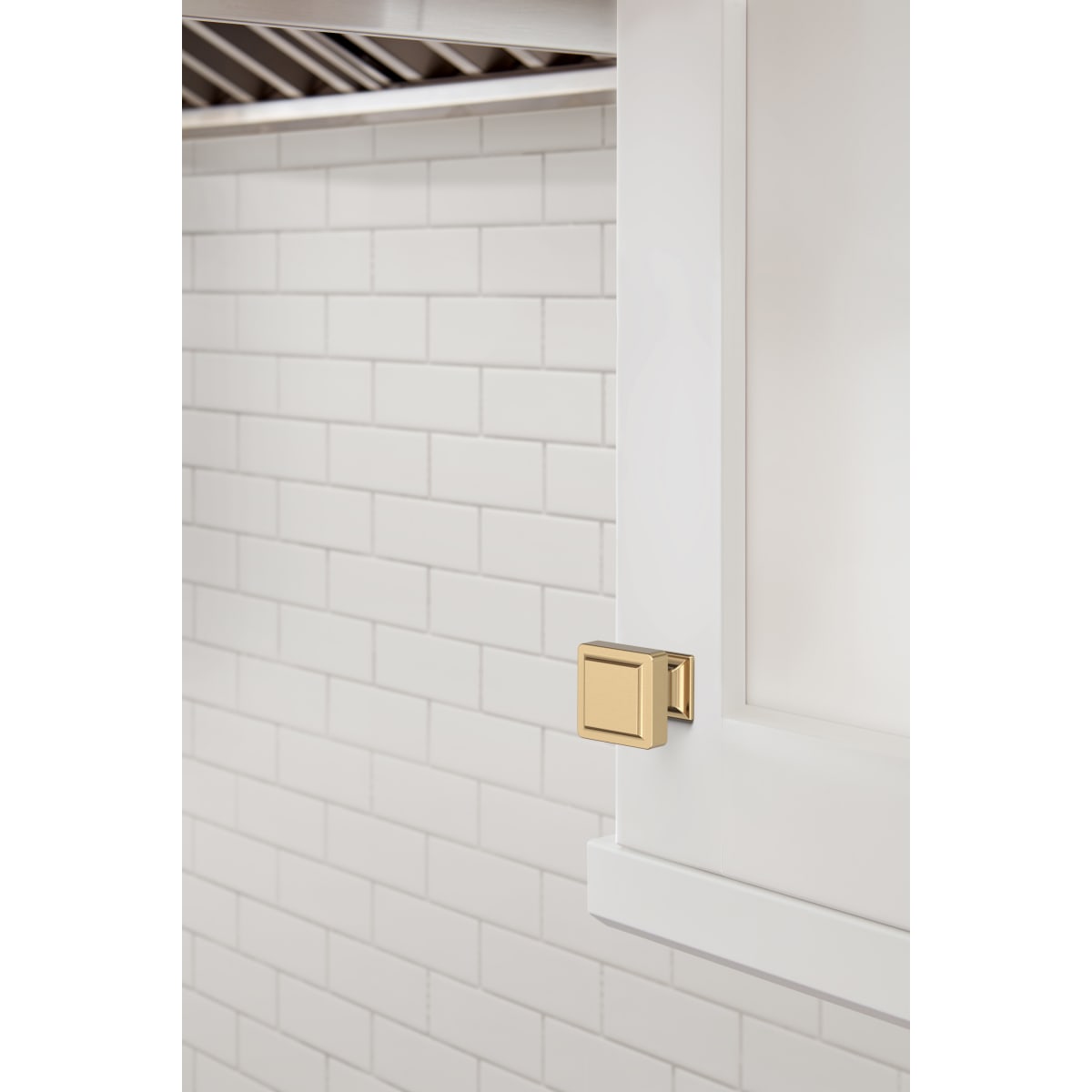 Amerock Eleva Cabinet Knob