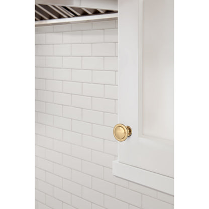 Amerock Loop Cabinet Knob
