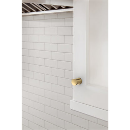 Amerock Whistle Cabinet Knob