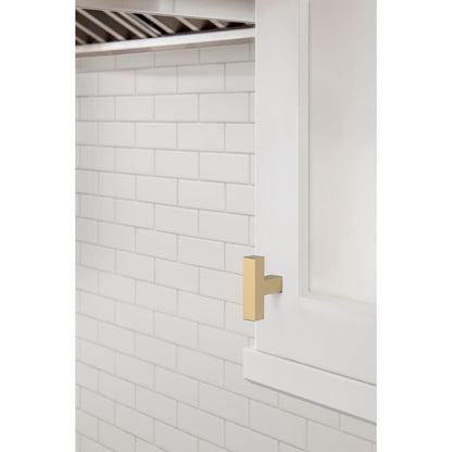 Amerock Intersect Cabinet Knob