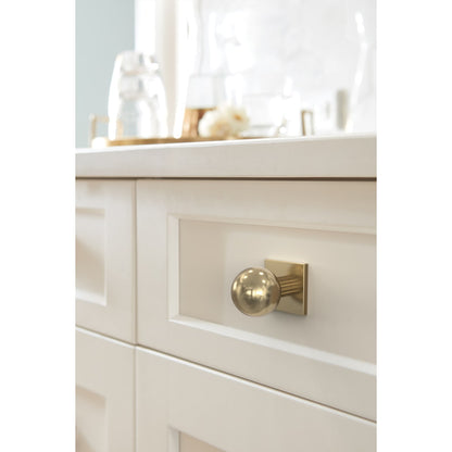 Amerock Ladera Cabinet Backplate