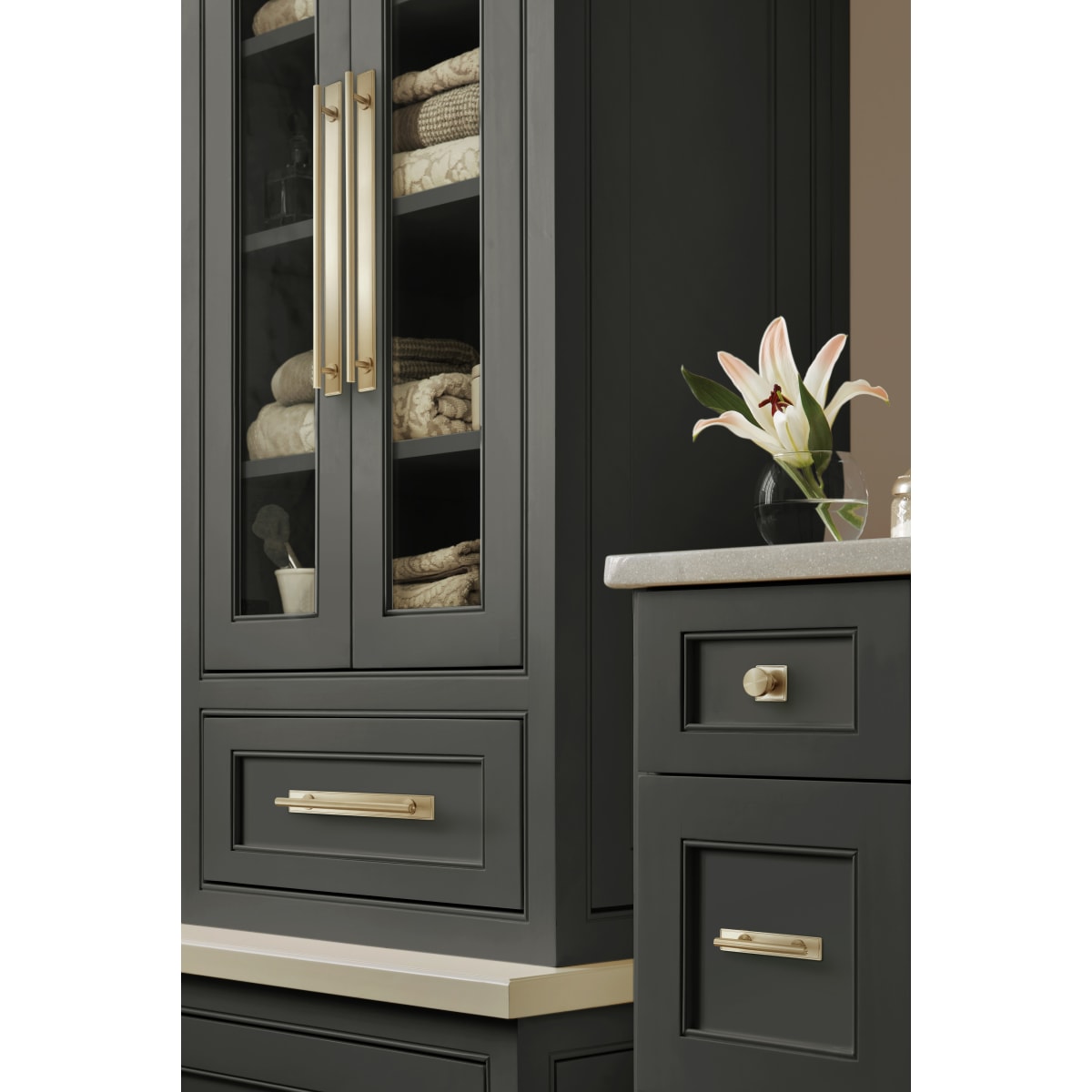 Amerock Thoreau Cabinet Backplate