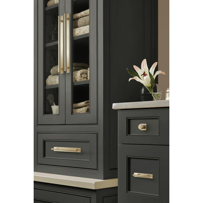 Amerock Thoreau Cabinet Backplate