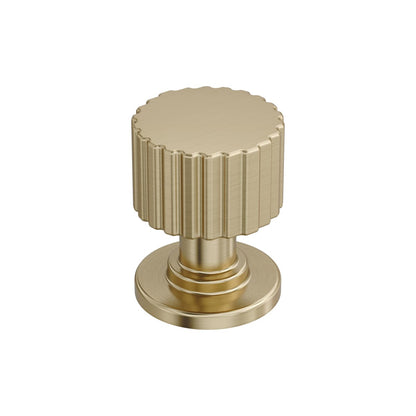 Amerock Ballard Cabinet Knob - Golden Champagne