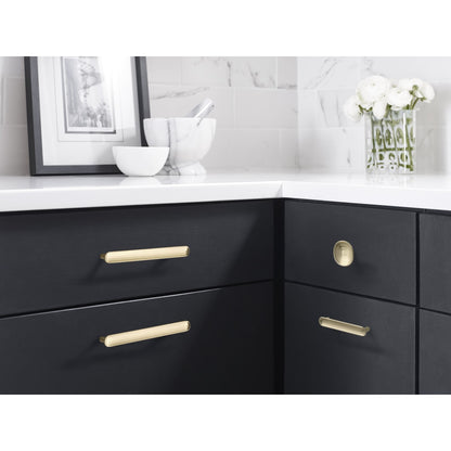 Amerock Concentric Cabinet Knob