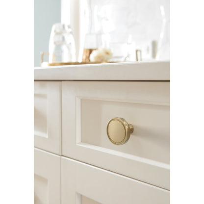 Amerock Destine Cabinet Knob