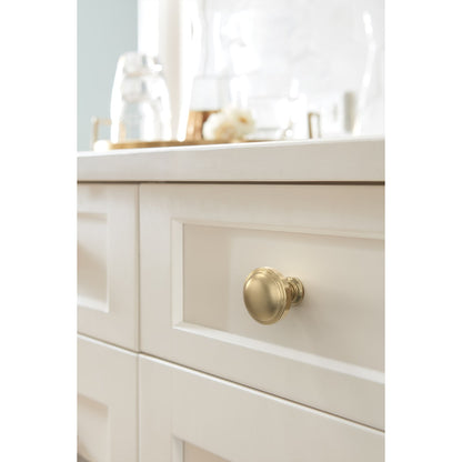 Amerock Enlivity Cabinet Knob