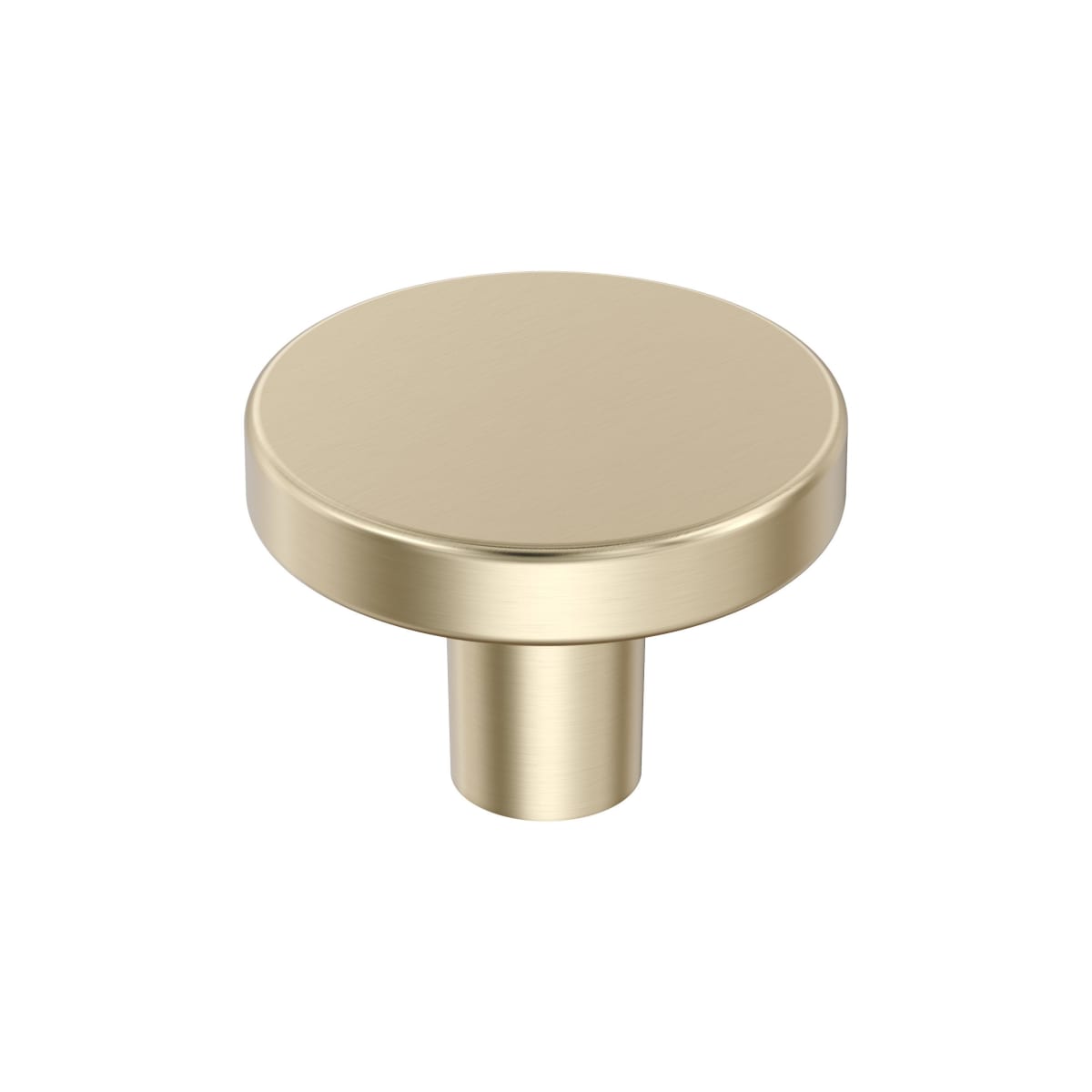 Amerock Versa Cabinet Knob - Golden Champagne