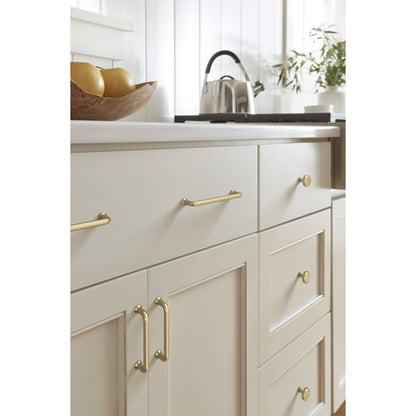 Amerock Factor Cabinet Pull