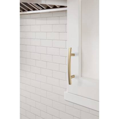 Amerock Cyprus Cabinet Pull
