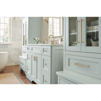 Amerock Farewind Cabinet Pull