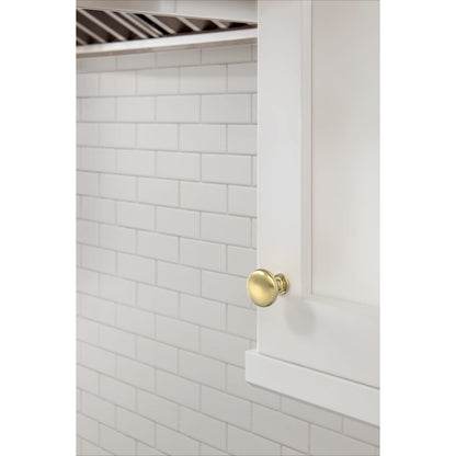 Amerock Edona Cabinet Knob