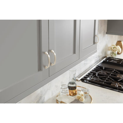 Amerock Revitalize Cabinet Pull