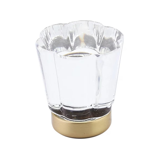 Forza Glass Knob